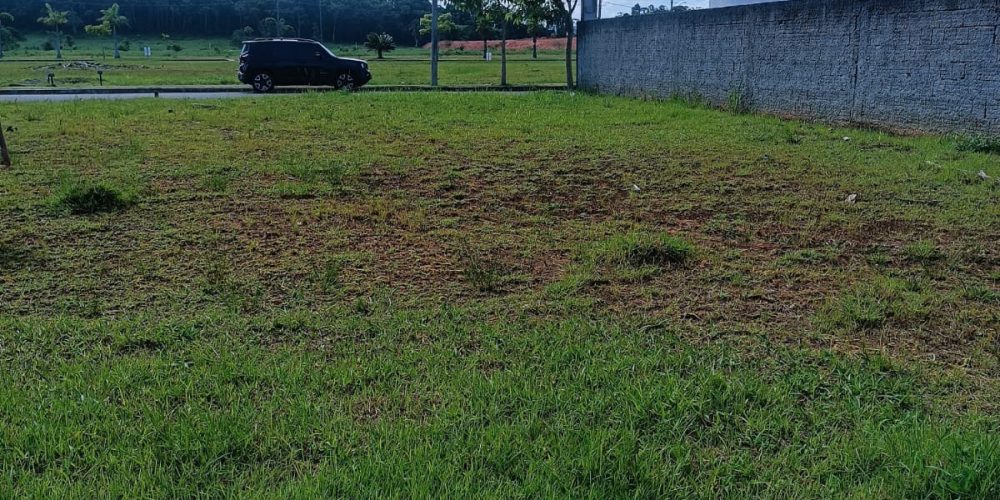 77e01e27-6b8d-480d-8a7c-da346e9a16b9