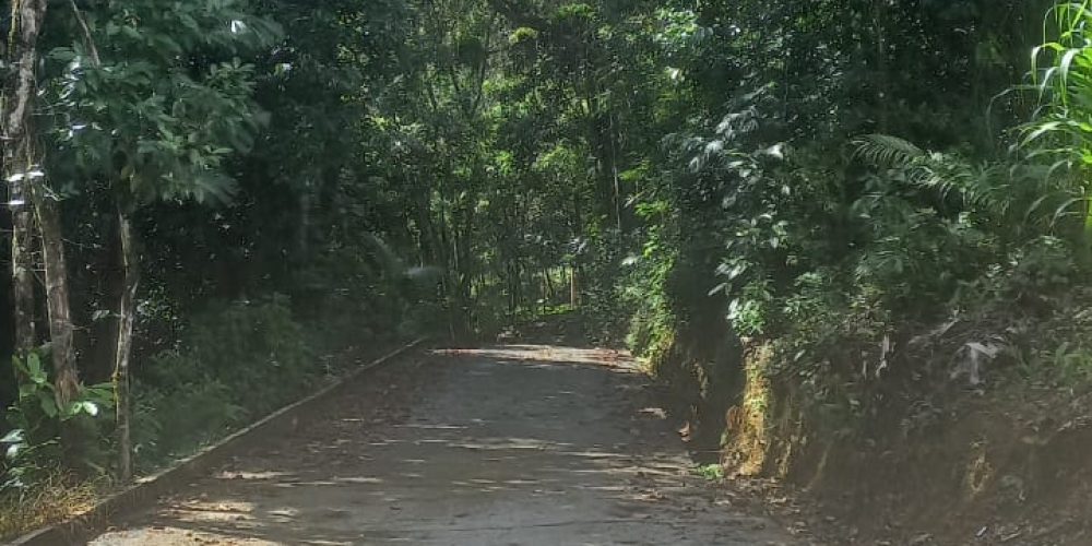 WhatsApp Image 2025-06-09 at 13.29.42