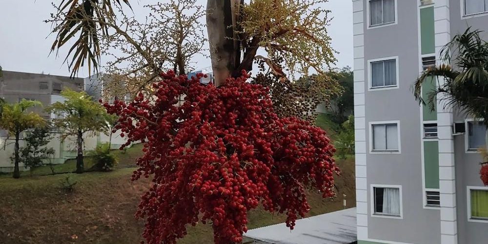 WhatsApp Image 2025-06-13 at 11.31.14 (3)