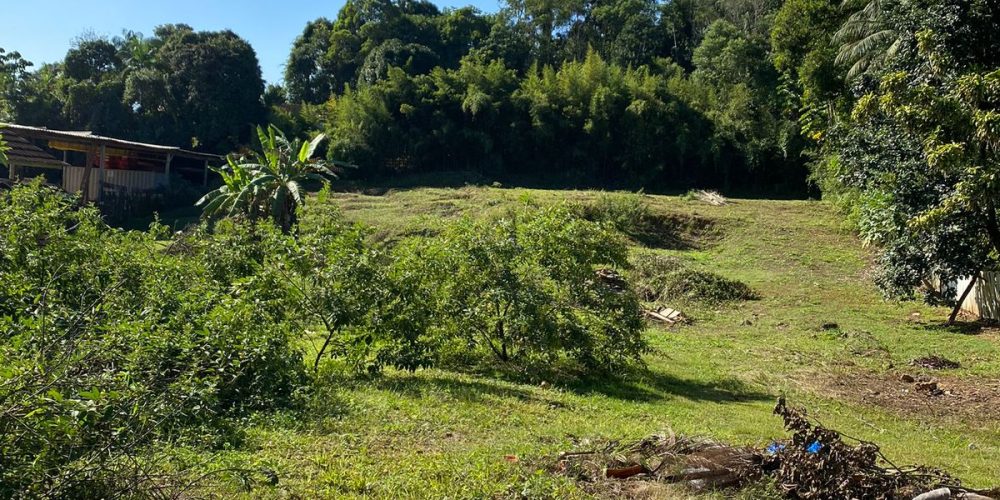 WhatsApp Image 2025-06-13 at 11.38.00 (1)