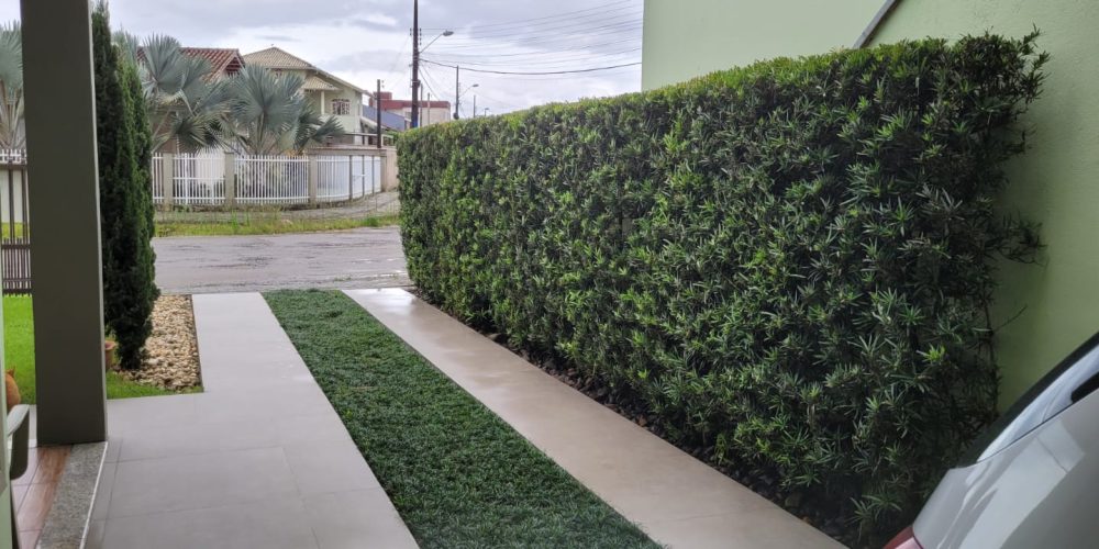 WhatsApp Image 2025-07-03 at 11.18.10 (3)