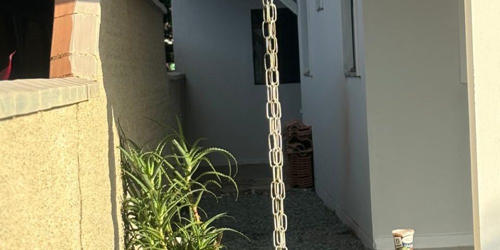 WhatsApp Image 2025-07-04 at 12.24.11