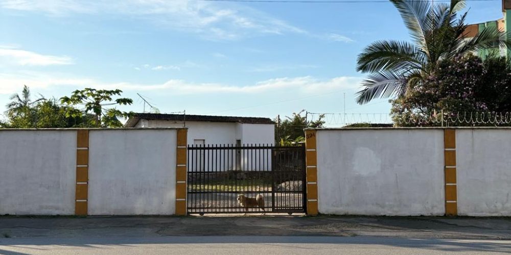 WhatsApp Image 2025-07-07 at 11.46.24