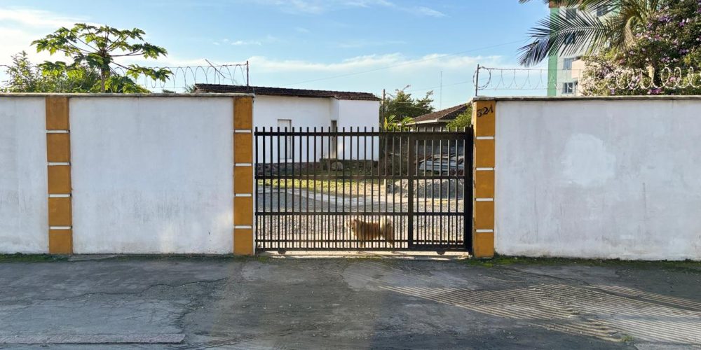 WhatsApp Image 2025-07-07 at 11.46.26 (3)