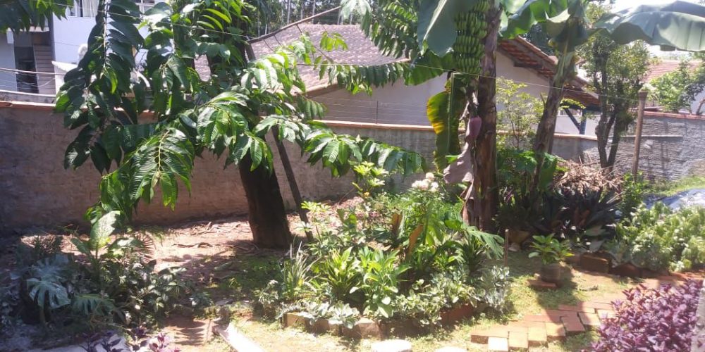 WhatsApp Image 2025-07-11 at 20.01.16