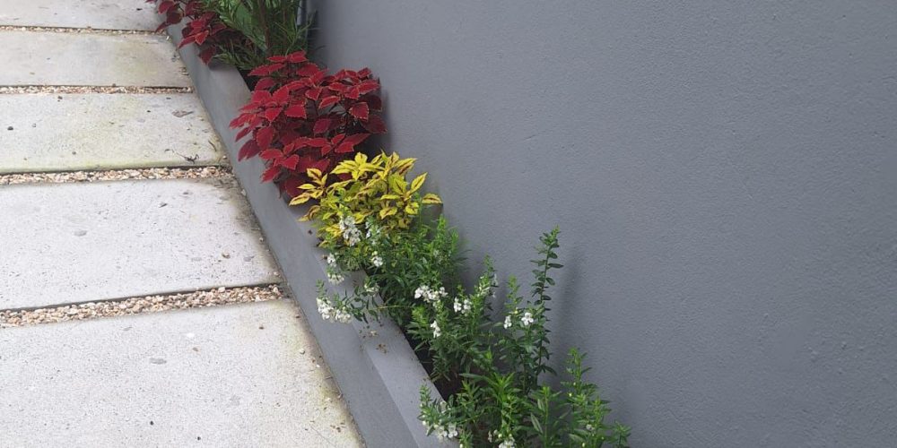 WhatsApp Image 2025-07-15 at 16.35.08 (1)