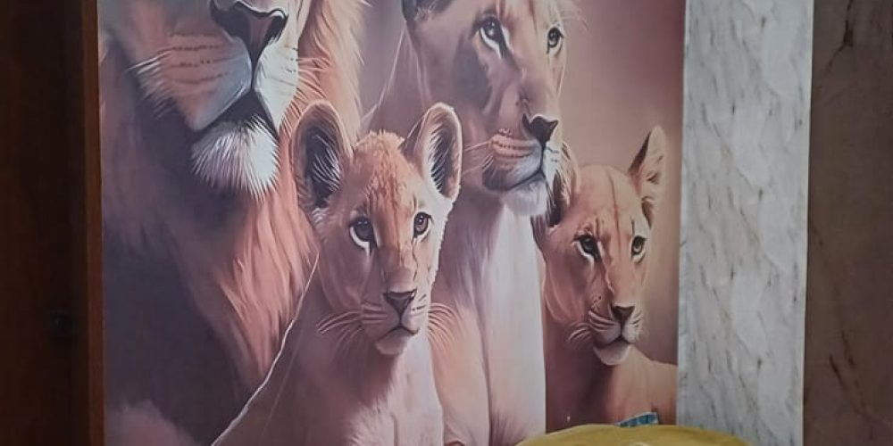 WhatsApp Image 2025-07-25 at 19.24.54