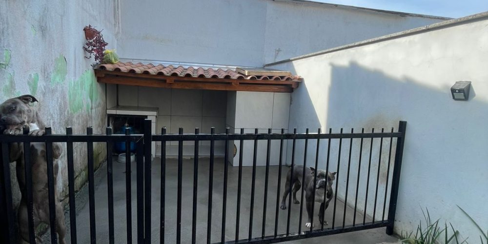 WhatsApp Image 2025-07-28 at 22.49.16 (3)