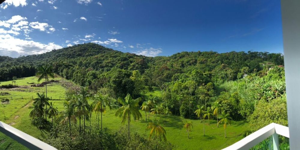 WhatsApp Image 2025-08-28 at 20.23.10 (1)