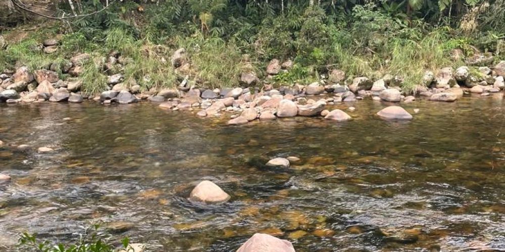 WhatsApp Image 2025-09-01 at 16.12.33