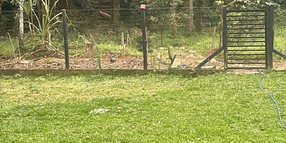 WhatsApp Image 2025-09-01 at 16.54.40 (3)