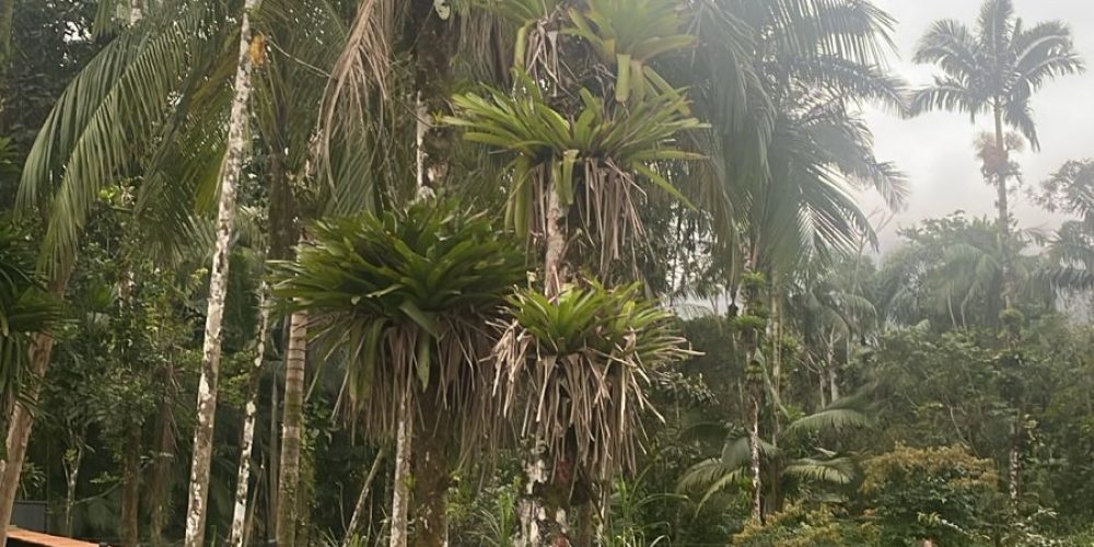 WhatsApp Image 2025-09-01 at 16.54.40 (4)