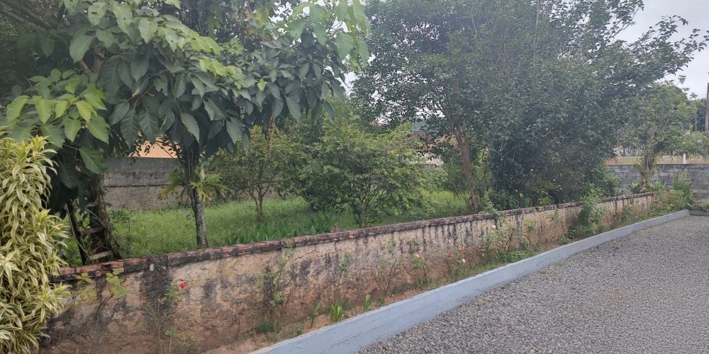 WhatsApp Image 2025-09-02 at 14.36.05 (3)