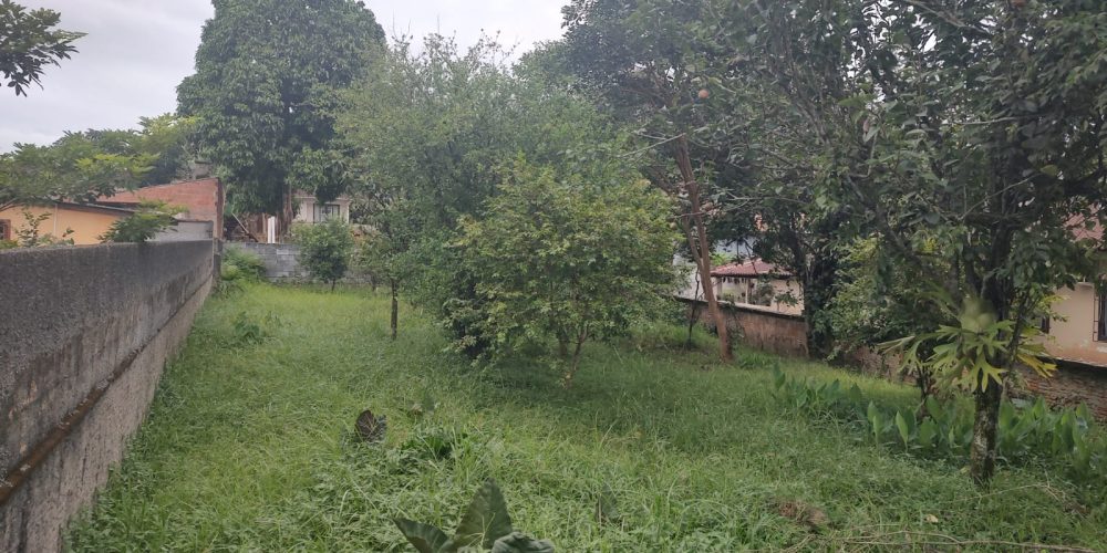 WhatsApp Image 2025-09-02 at 14.36.05