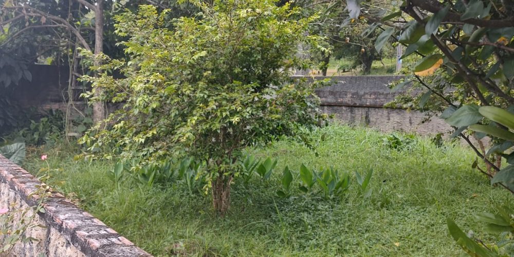 WhatsApp Image 2025-09-02 at 14.36.06 (1)