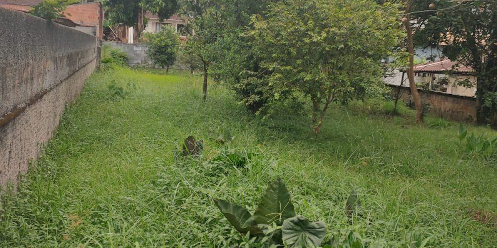 WhatsApp Image 2025-09-02 at 14.36.06 (2)