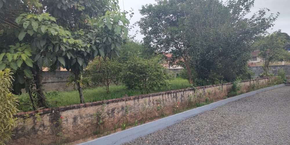 WhatsApp Image 2025-09-02 at 14.36.06