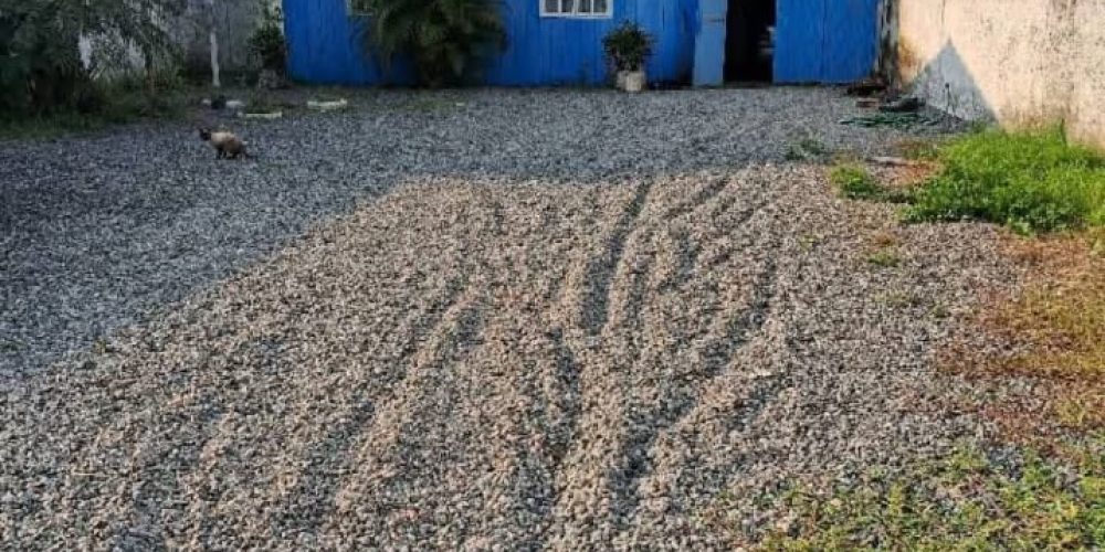 WhatsApp Image 2025-09-02 at 16.15.05 (1)