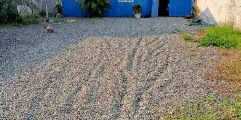 WhatsApp Image 2025-09-02 at 16.15.05