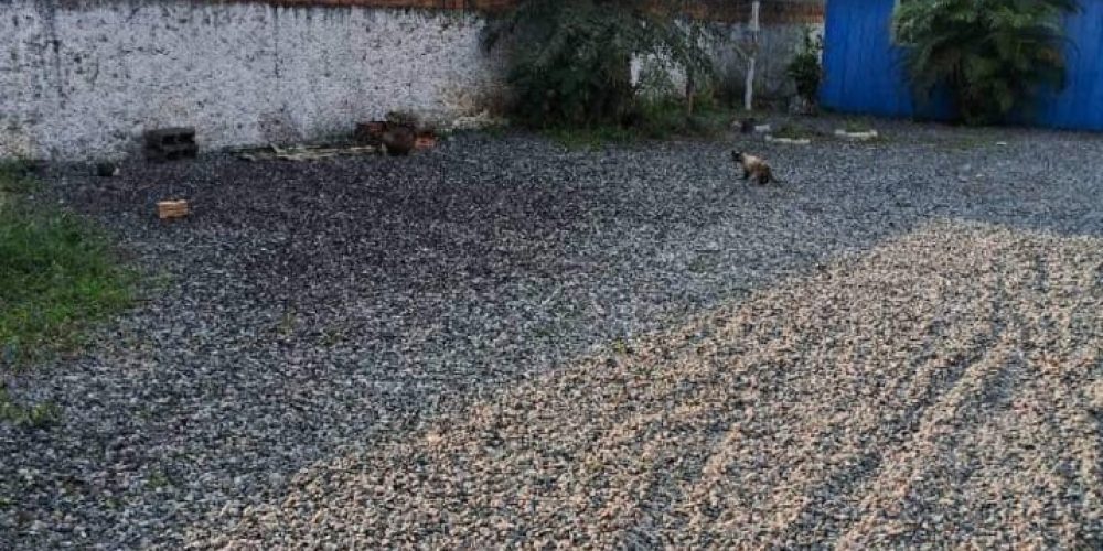 WhatsApp Image 2025-09-02 at 16.15.06