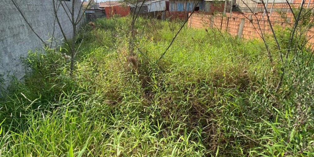 WhatsApp Image 2025-09-12 at 14.46.25