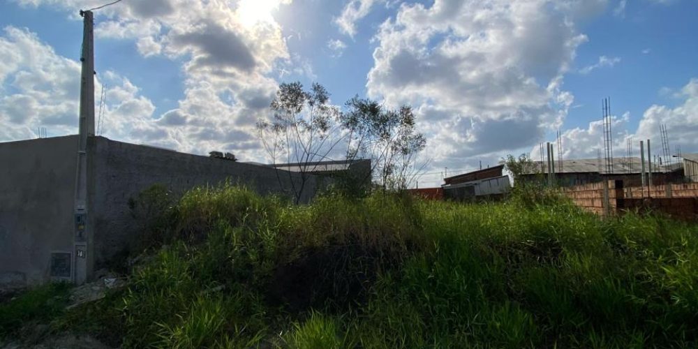 WhatsApp Image 2025-09-12 at 14.46.29