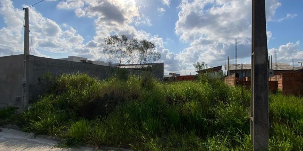 WhatsApp Image 2025-09-12 at 14.46.30