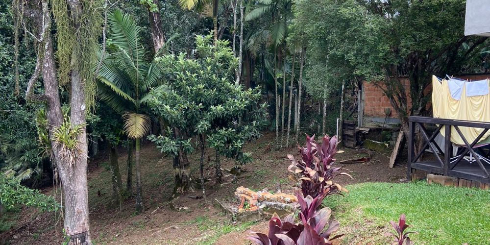 WhatsApp Image 2025-09-25 at 09.43.29 (3)