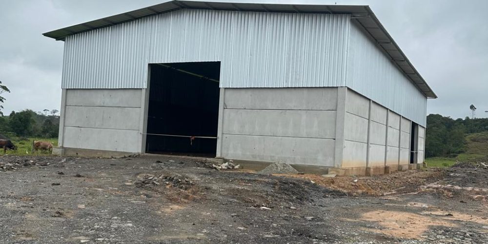 WhatsApp Image 2025-10-21 at 21.25.57