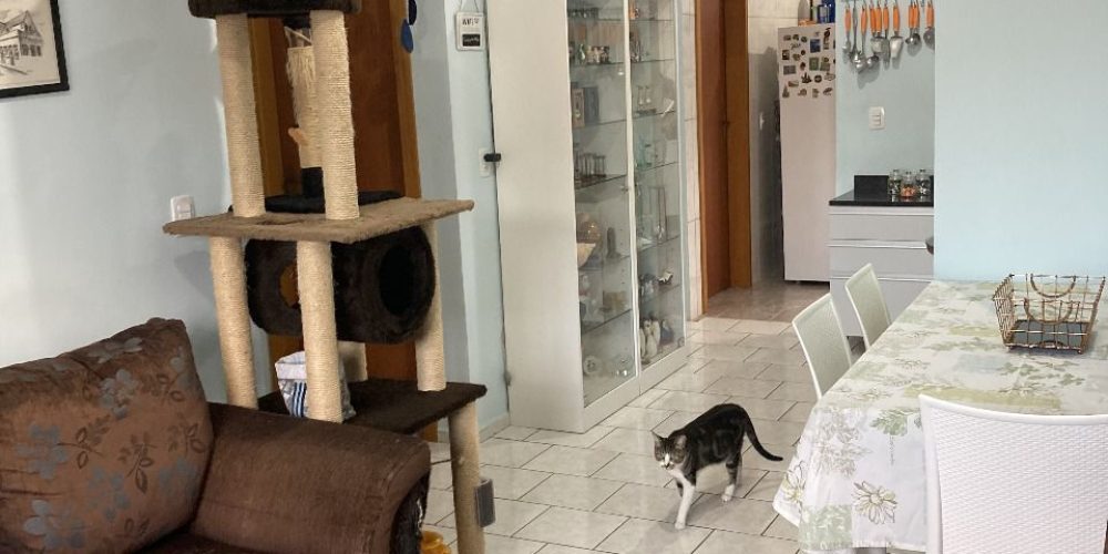 WhatsApp Image 2025-11-03 at 14.18.23 (2)