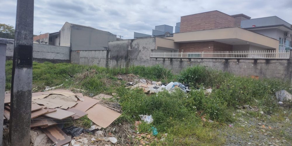 WhatsApp Image 2026-02-02 at 11.44.06