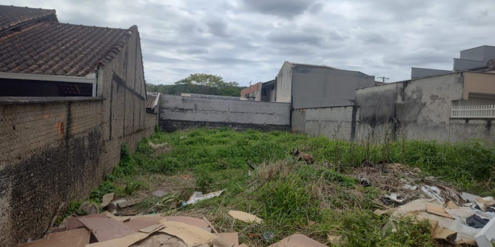 WhatsApp Image 2026-02-02 at 11.44.07