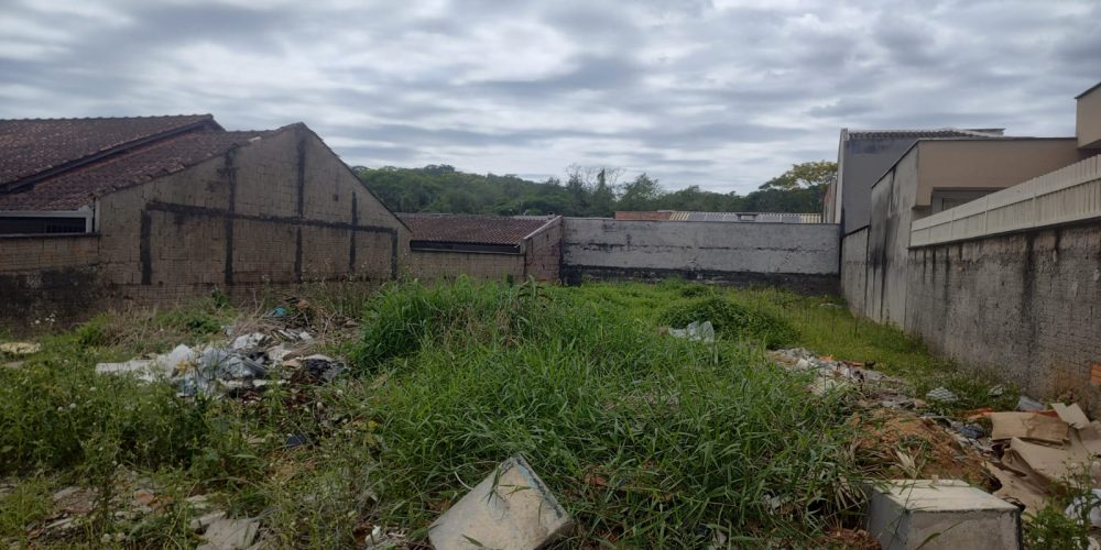 WhatsApp Image 2026-02-02 at 11.44.08