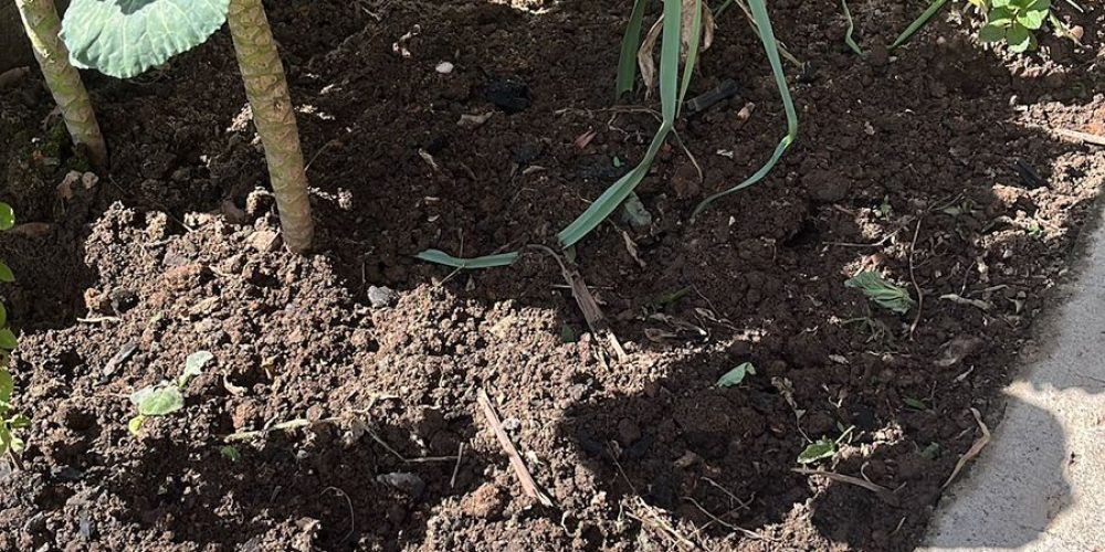 WhatsApp Image 2026-02-05 at 13.49.21 (2)