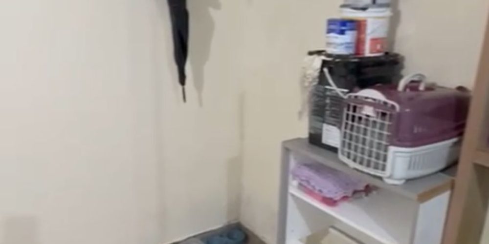 WhatsApp Image 2026-03-17 at 13.58.38 (2)