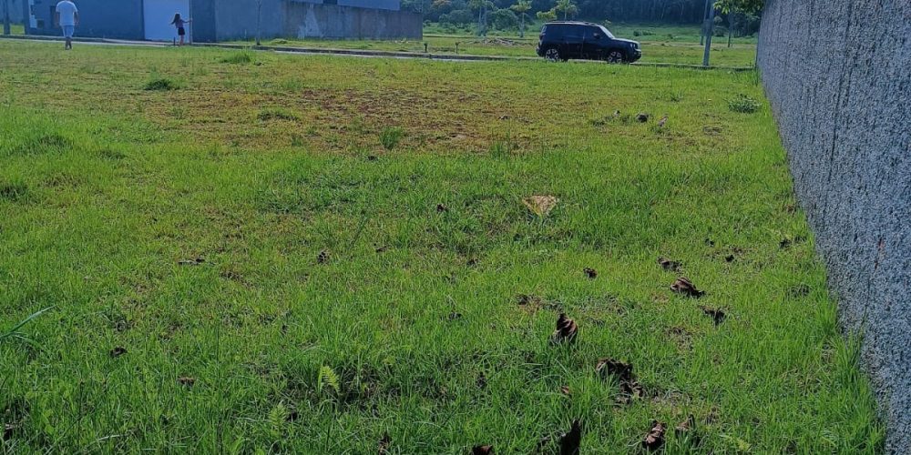 a5db012f-b118-4ca8-b195-c56fb52d0b48